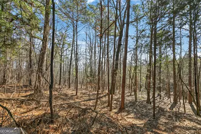 5010 US Highway 27, Franklin, GA 30217 - Photo 32