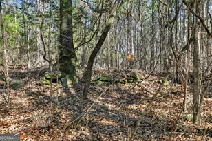 5010 US Hwy 27, Franklin, GA 30217 - Photo 28