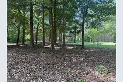 268 Persimmon Drive, Hartwell, GA 30643 - Photo 20
