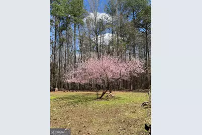 6233 Ga Highway 87, Forsyth, GA 31029 - Photo 42