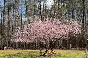 6233 Ga Hwy 87, Macon, GA 31210 - Photo 42