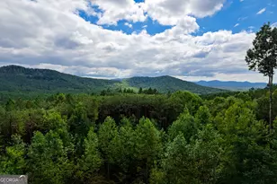 239 Ridge Top Dr, Ellijay, GA 30536 - Photo 16