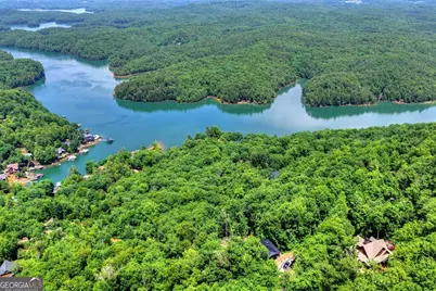 454 Genessee Path, Blue Ridge, GA 30513 - Photo 18