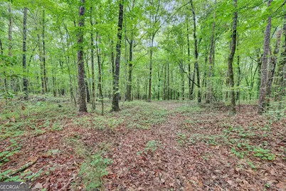 0 SE Christian Circle, Conyers, GA 30013 - Photo 24