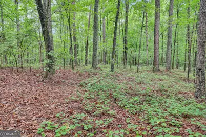 0 SE Christian Circle Circle, Conyers, GA 30013 - Photo 22