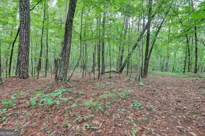 0 SE Christian Circle Circle, Conyers, GA 30013 - Photo 20