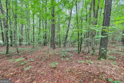0 SE Christian Circle Circle, Conyers, GA 30013 - Photo 18