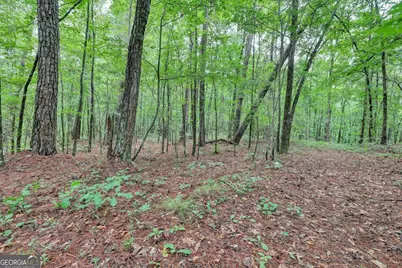 0 SE Christian Circle, Conyers, GA 30013 - Photo 20
