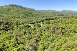 4836 Owltown Rd, Blairsville, GA 30512 - Photo 94
