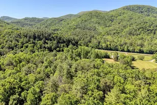 4836 Owltown Rd, Blairsville, GA 30512 - Photo 82