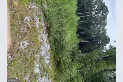 0 Maple Trail, Sharpsburg, GA 30277 - Photo 16
