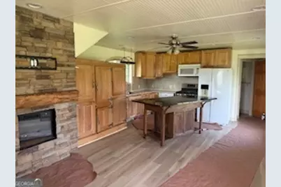 291 Farmer Lane, Carnesville, GA 30521 - Photo 2