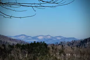 135 Bandit Ln, Blue Ridge, GA 30513 - Photo 62