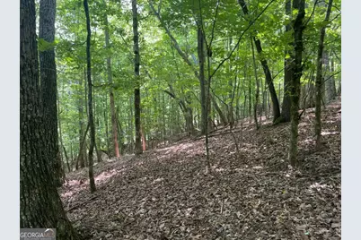 Lot 11 Brumby Run #11, Blairsville, GA 30512 - Photo 6