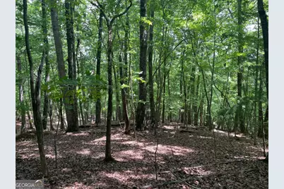 Lot 11 Brumby Run #11, Blairsville, GA 30512 - Photo 8