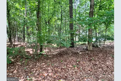 6031 Belle Meade Court, Villa Rica, GA 30180 - Photo 6