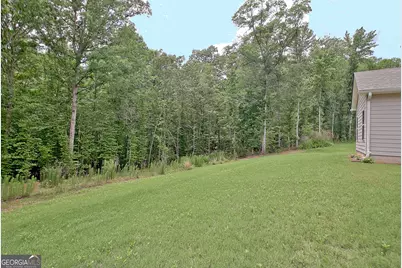 260 Sagebrook Lane, Newnan, GA 30263 - Photo 64