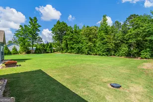 217 Courtland Rd, Brooks, GA 30205 - Photo 36