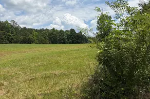 8152 Cr 222, Five Points, AL 36855 - Photo 4