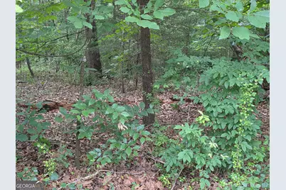 Lot 15 Harbor Heights Circle, Lavonia, GA 30553 - Photo 4