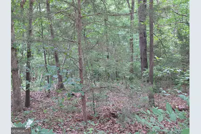 Lot 15 Harbor Heights Circle, Lavonia, GA 30553 - Photo 6