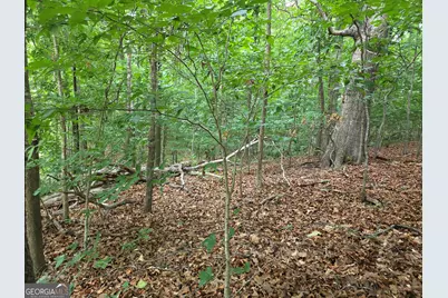 Lot 270 Arrow Lane, Lavonia, GA 30553 - Photo 4