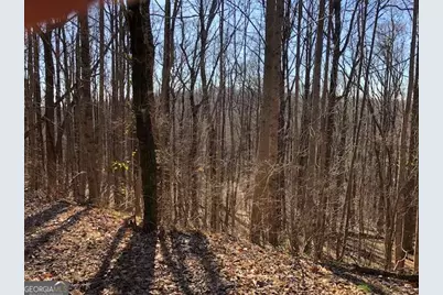 0 Highlands Parkway # LOT 45, Jasper, GA 30143 - Photo 2