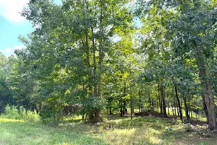 1049 Jaybird Ln, Elberton, GA 30635 - Photo 1