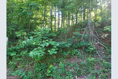 0 Driver Lane, Sky Valley, GA 30537 - Photo 1
