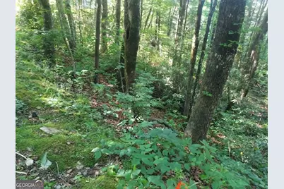 0 Driver Lane, Sky Valley, GA 30537 - Photo 6