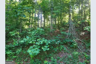 0 Driver Lane, Sky Valley, GA 30537 - Photo 2