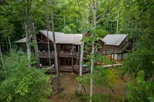 101 Heights Overlook, Blue Ridge, GA 30513 - Photo 44