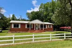 1351 Hwy 26, Hawkinsville, GA 31036 - Photo 38