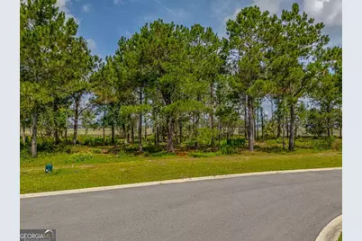 Lot 98 Wards Way, Waverly, GA 31565 - Photo 4