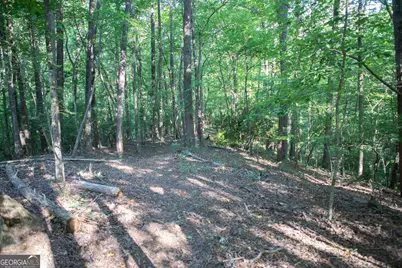 0 Kerns Ridge Court, Dawsonville, GA 30534 - Photo 10