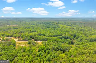 3030 Smith McGee Rd, Iva, SC 29655 - Photo 68
