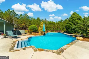4236 S Newton Rd, Millen, GA 30442 - Photo 56