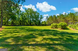 4236 S Newton Rd, Millen, GA 30442 - Photo 74