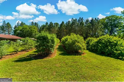 4236 S Newton Road, Millen, GA 30442 - Photo 74