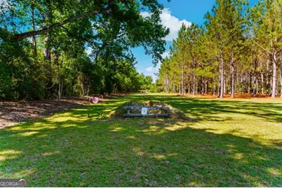 4236 S Newton Road, Millen, GA 30442 - Photo 78