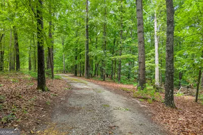 242 Pristine Cove, Hartwell, GA 30643 - Photo 24