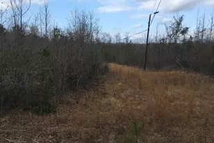 0 Dennard-Hardy Rd, Gordon, GA 31031 - Photo 1