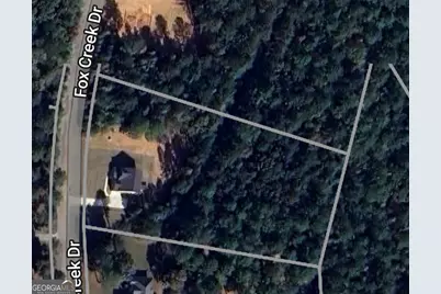 2232 Fox Creek Drive, Haddock, GA 31033 - Photo 4