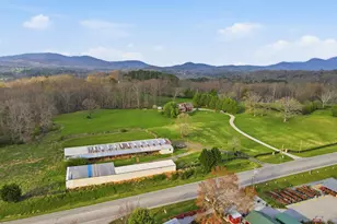 5446 Murphy Hwy, Blairsville, GA 30512 - Photo 40