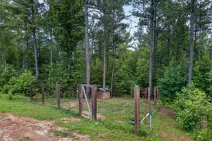 1401 Needmore Rd, Roopville, GA 30170 - Photo 42
