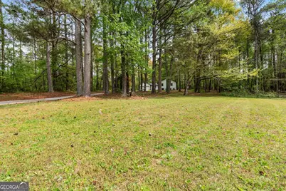 1177 Bob Smith Road, Sharpsburg, GA 30277 - Photo 4