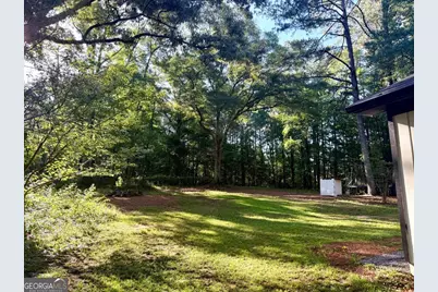 1177 Bob Smith Road, Sharpsburg, GA 30277 - Photo 6