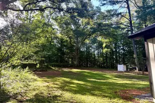 1177 Bob Smith Rd, Sharpsburg, GA 30277 - Photo 6