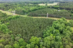 1329 Standing Rock Rd, Senoia, GA 30276 - Photo 56
