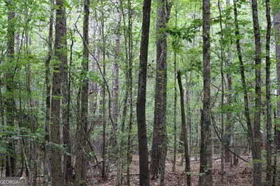 2 Garnett Ward Road, Hull, GA 30646 - Photo 2